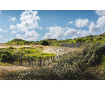Dune de Brighton en Baie de somme