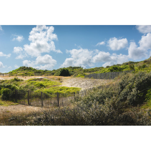 Brighton Dune in Baie de Somme