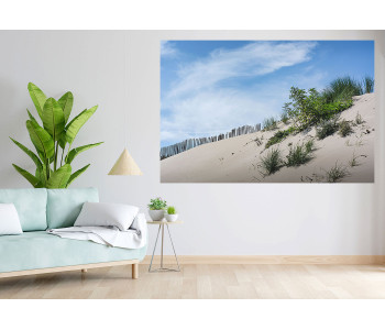 Dune and its flora - Brighton - Baie de Somme