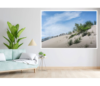 Dune and its flora - Brighton - Baie de Somme