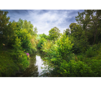 Rivières et nature luxuriante