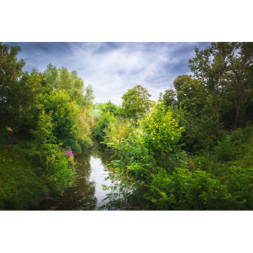 Rivers and lush nature