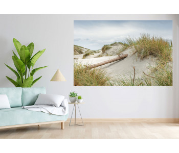 The tree lying in the heart of the dunes