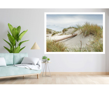 Wild escape : The tree lying in the heart of the dunes