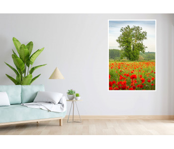 Dance of colors in spring: The tree and the poppy