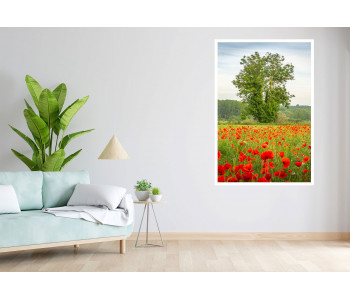 Dance of colors in spring: The tree and the poppy