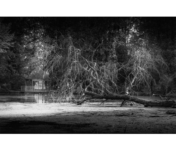 Nature noir et blanc