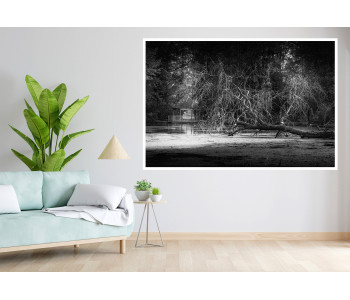 Shadows and Lights: Shards of Nature in Black and White