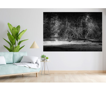 Nature black and white