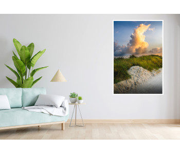 Nature sous un nuage orangé