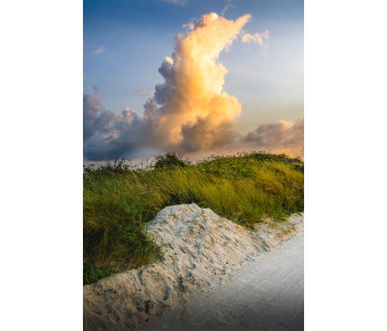 Nature under an orange cloud