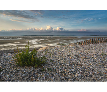 Photographie plage de Hourdel